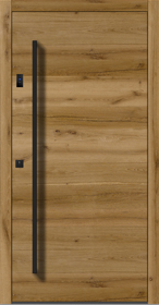 Entrance Door Old Wood H401 2E