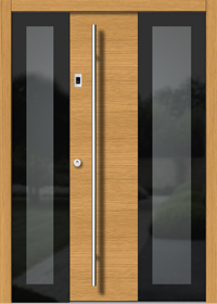 Entrance Door Vetro H305