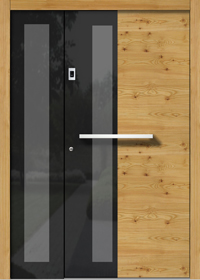 Entrance Door Vetro H310