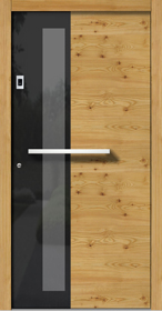 Entrance Door Vetro H310