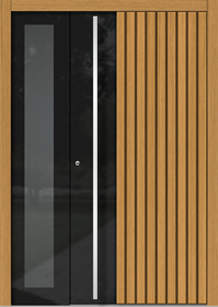 Entrance Door Vetro H311